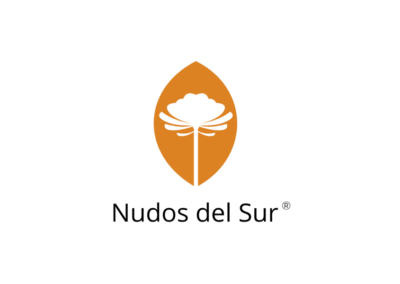 Logo Nudos del sur 2024